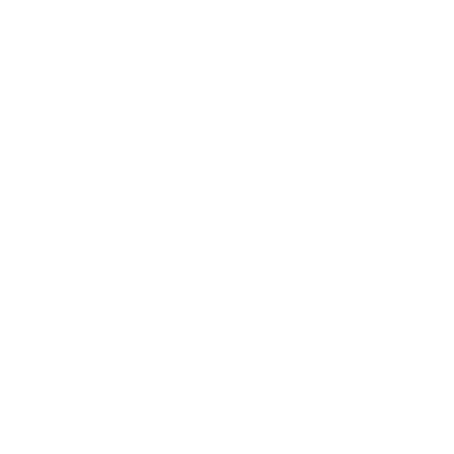 Logo_BCX 1