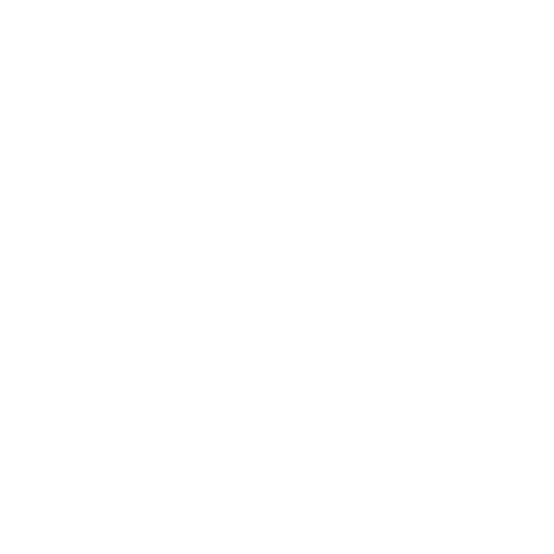 Logo_Bidvest Life 1