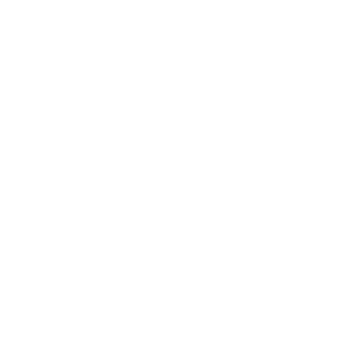 Logo_Discovery