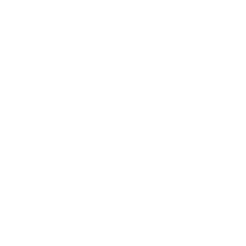 Logo_Insurance Zone 1