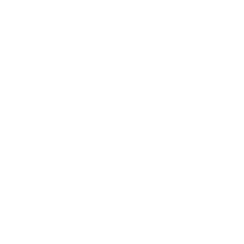 Logo_Momentum 1