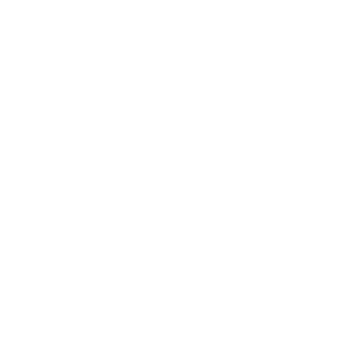 Logo_Rawson 1