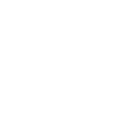 Logo_Robertson Winery 1