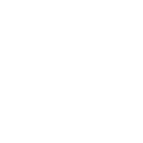 Logo_Vtial 1
