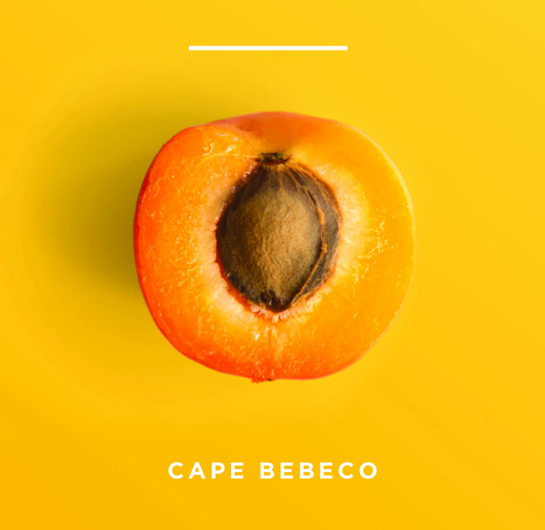 img_stargrow_sa_cape-bebeco