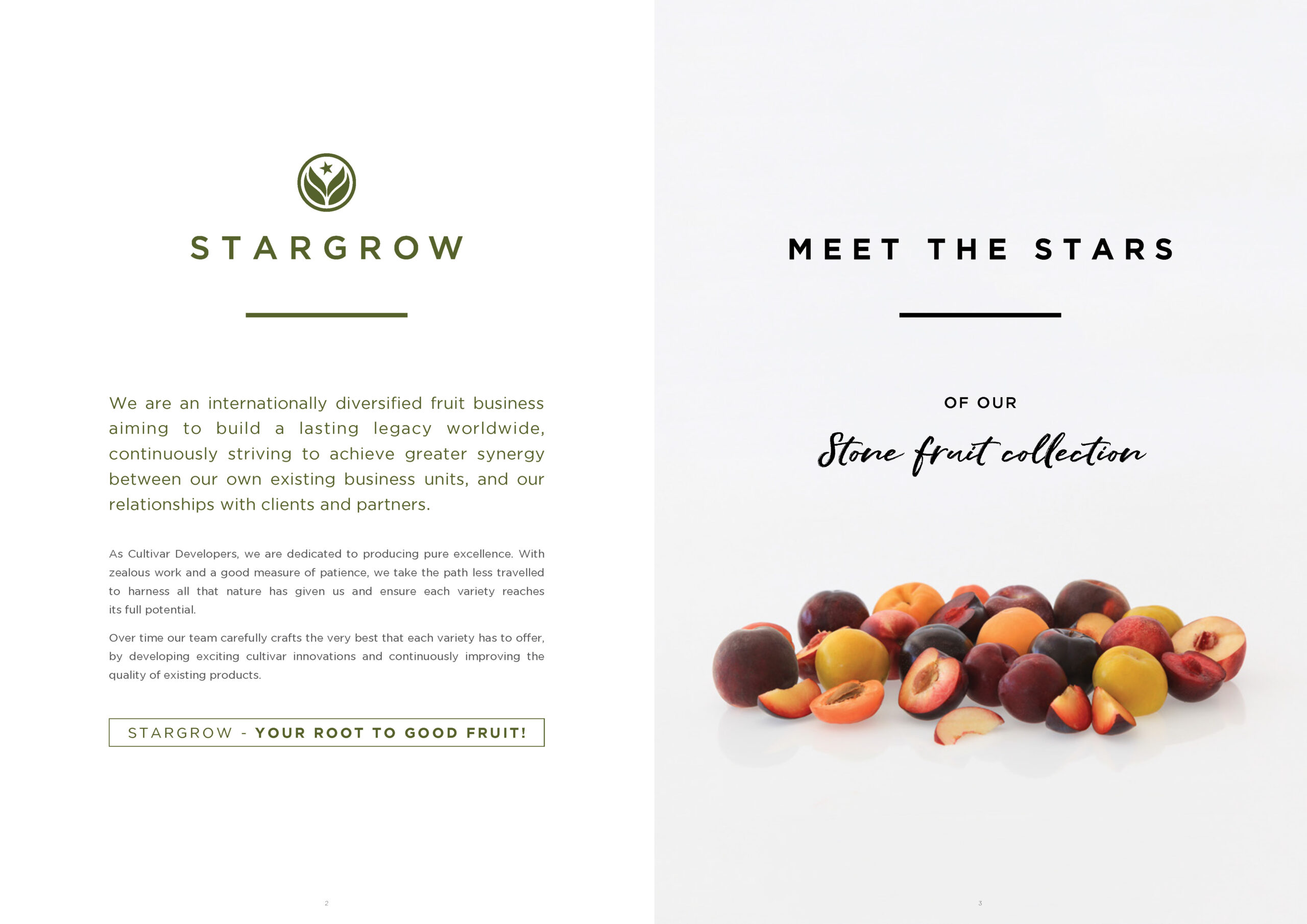 3146 Stargrow Cultivar Brochure_Spreads_LR 2017 12 08_Page_03