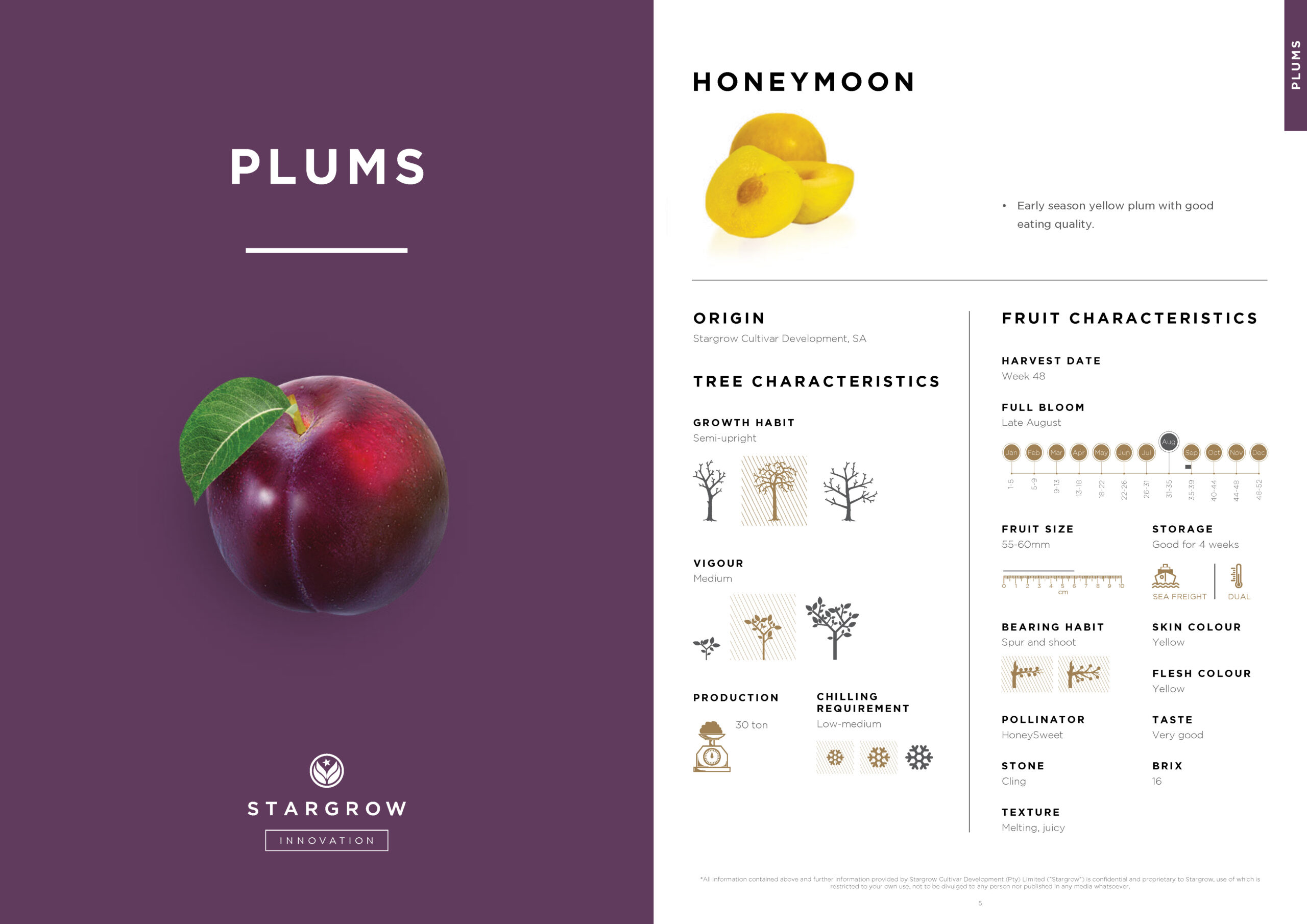 3146 Stargrow Cultivar Brochure_Spreads_LR 2017 12 08_Page_04