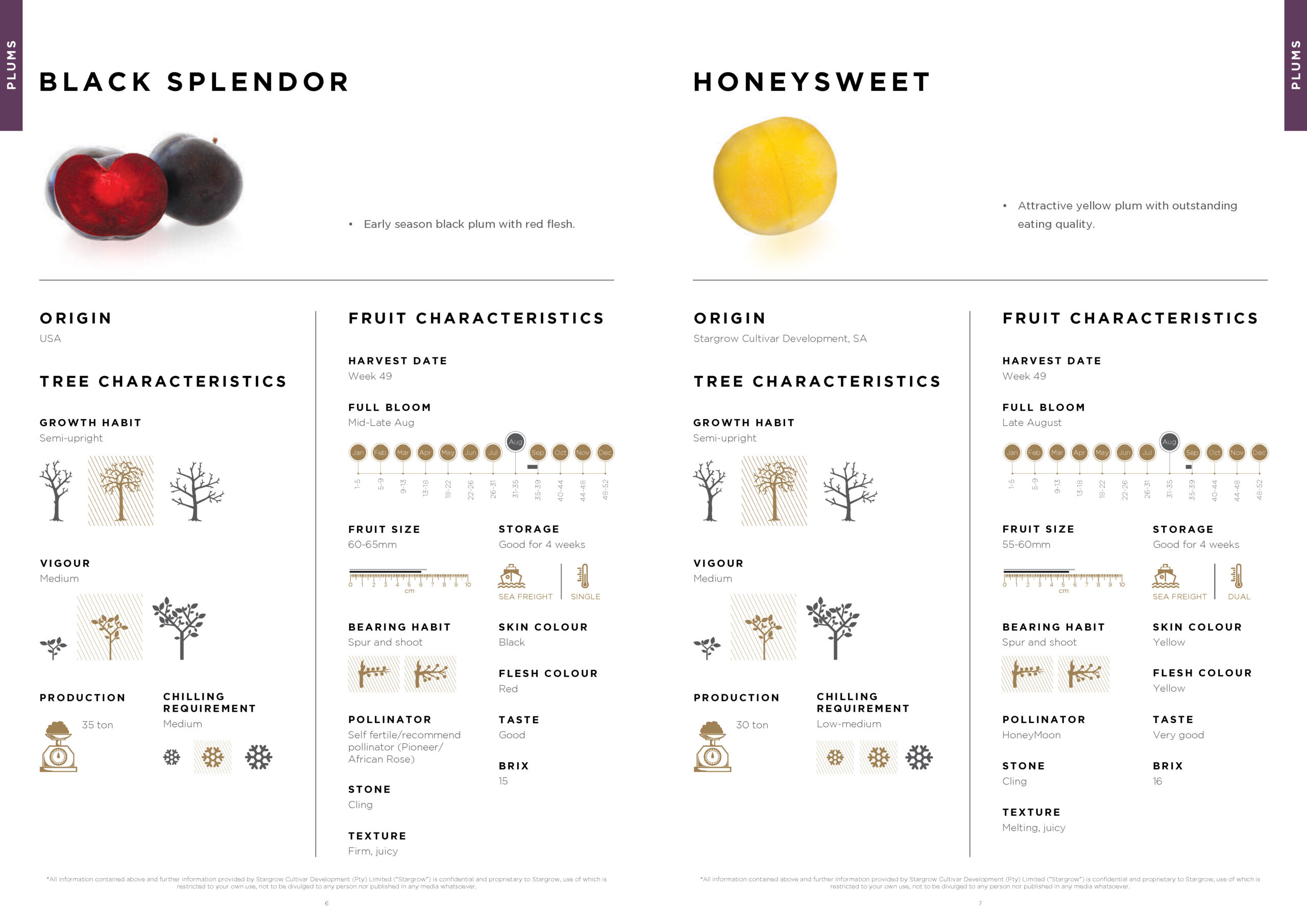 3146 Stargrow Cultivar Brochure_Spreads_LR 2017 12 08_Page_05