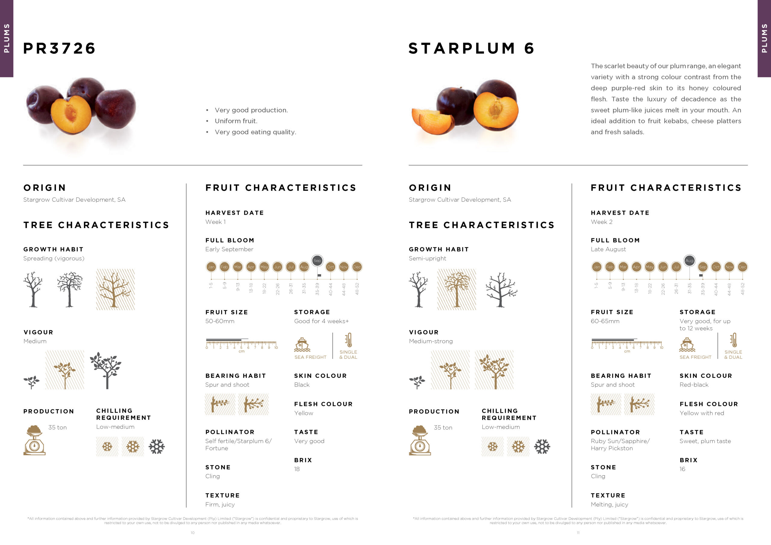 3146 Stargrow Cultivar Brochure_Spreads_LR 2017 12 08_Page_07