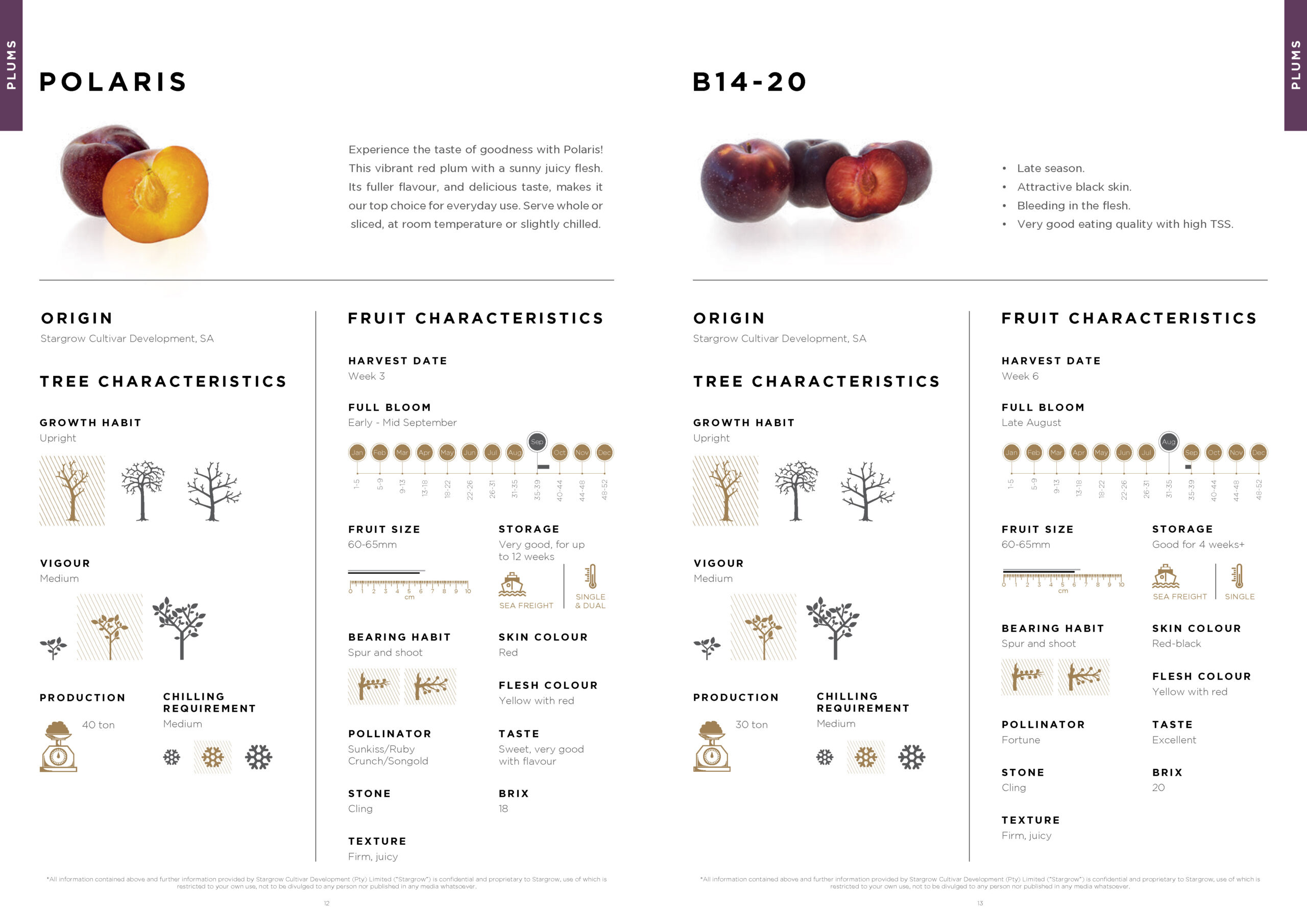 3146 Stargrow Cultivar Brochure_Spreads_LR 2017 12 08_Page_08