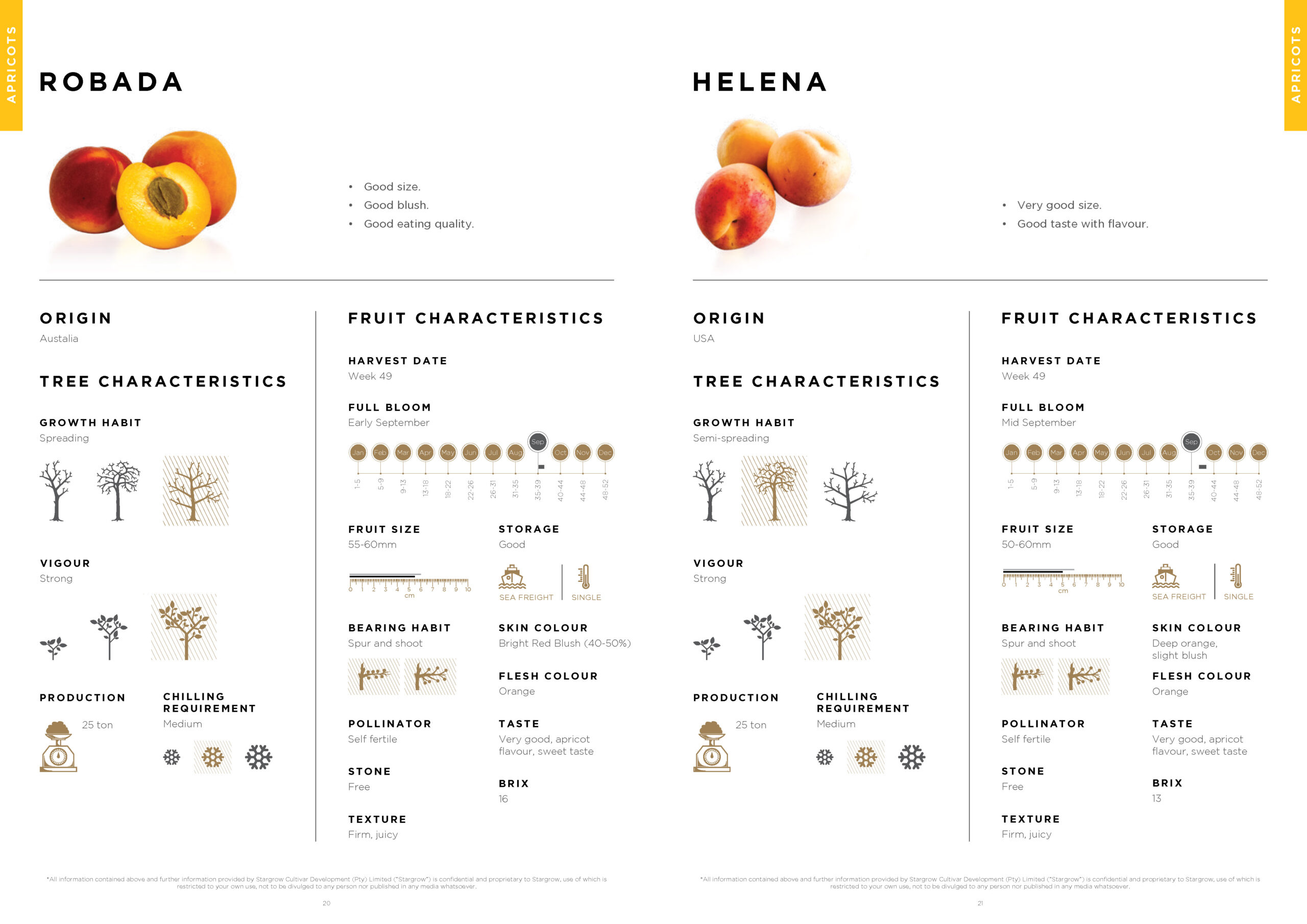 3146 Stargrow Cultivar Brochure_Spreads_LR 2017 12 08_Page_12