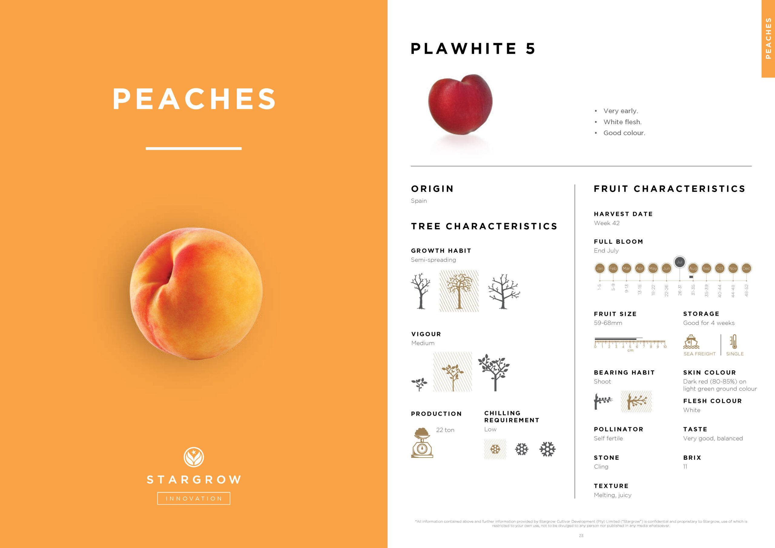 3146 Stargrow Cultivar Brochure_Spreads_LR 2017 12 08_Page_13