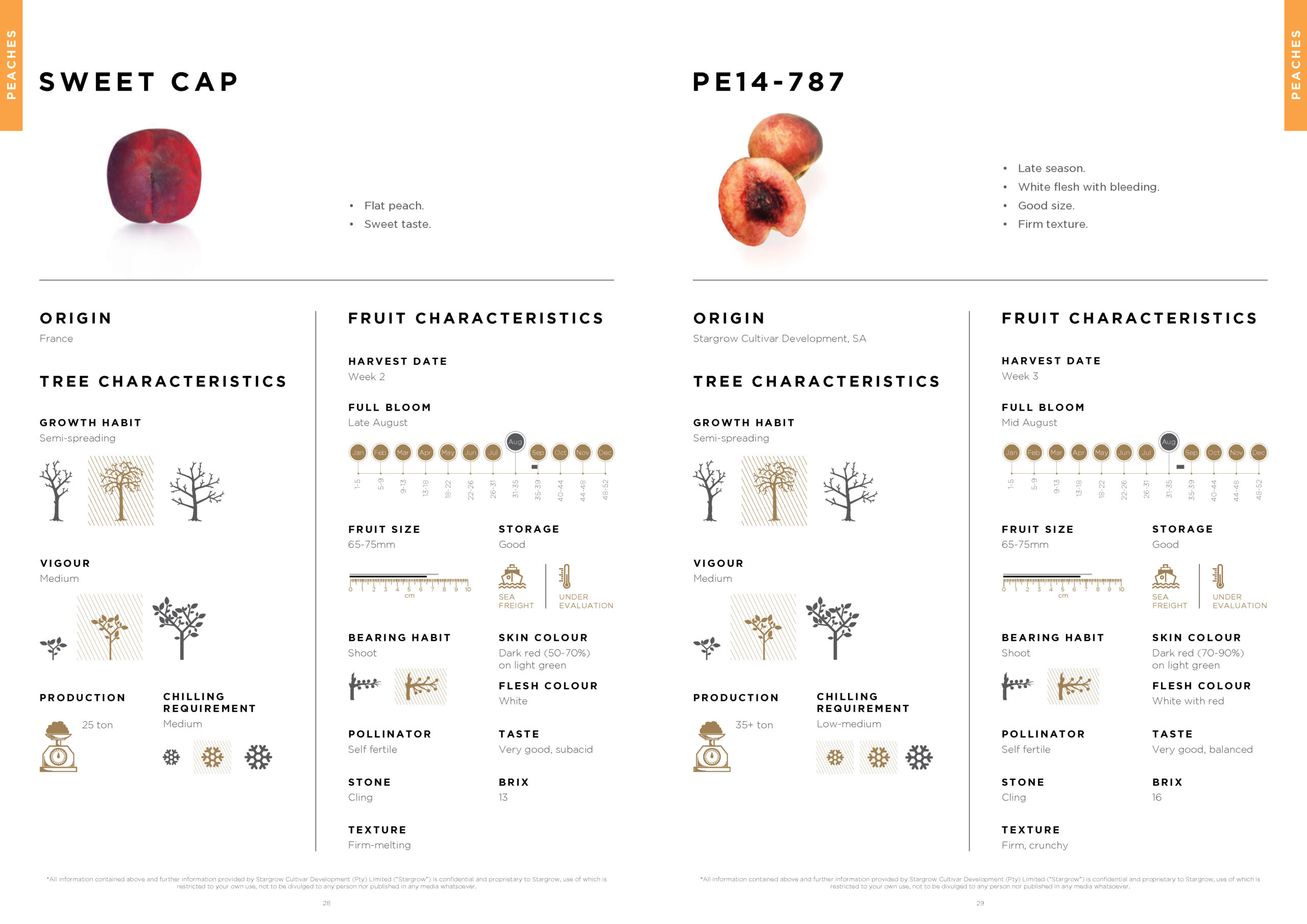 3146 Stargrow Cultivar Brochure_Spreads_LR 2017 12 08_Page_16