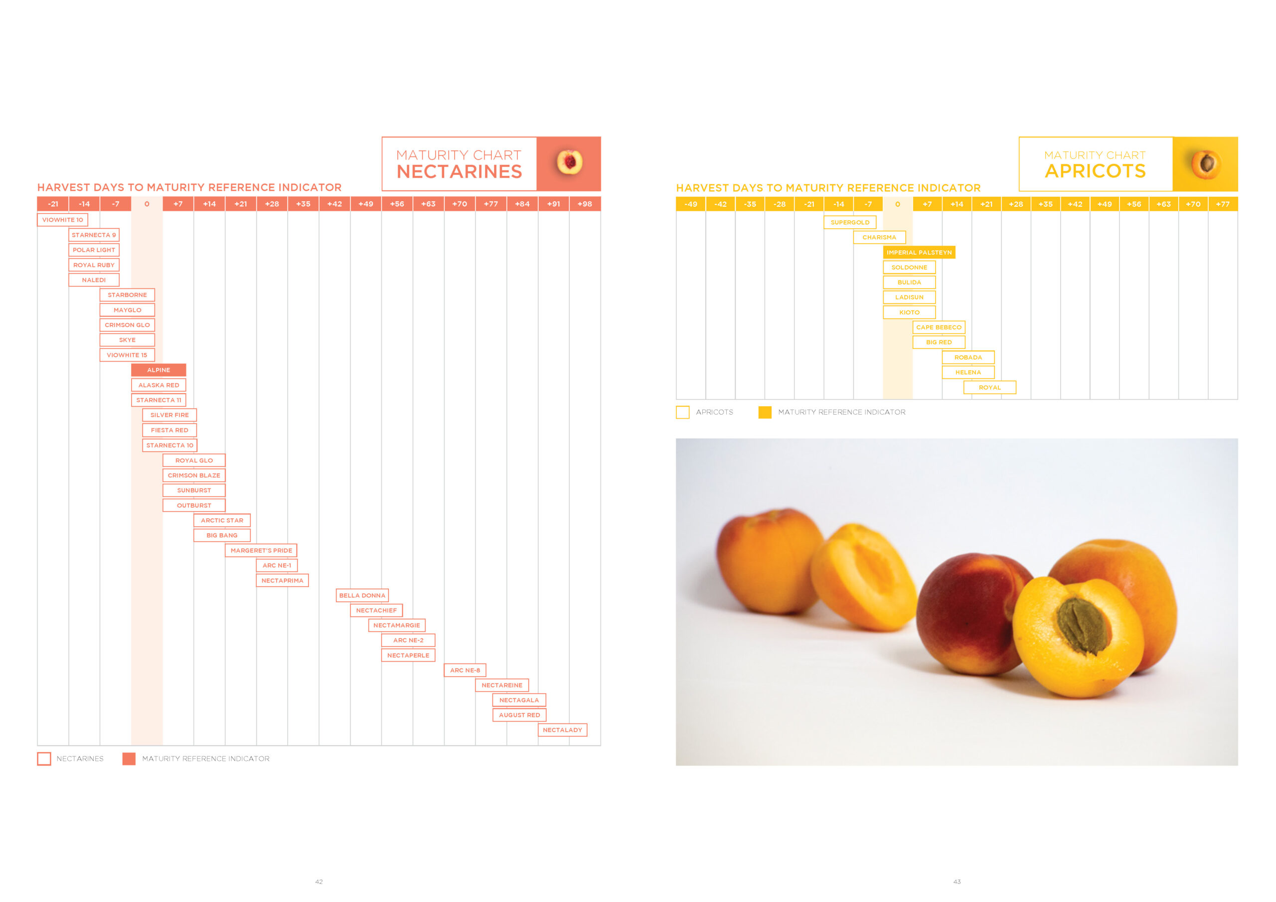3146 Stargrow Cultivar Brochure_Spreads_LR 2017 12 08_Page_23