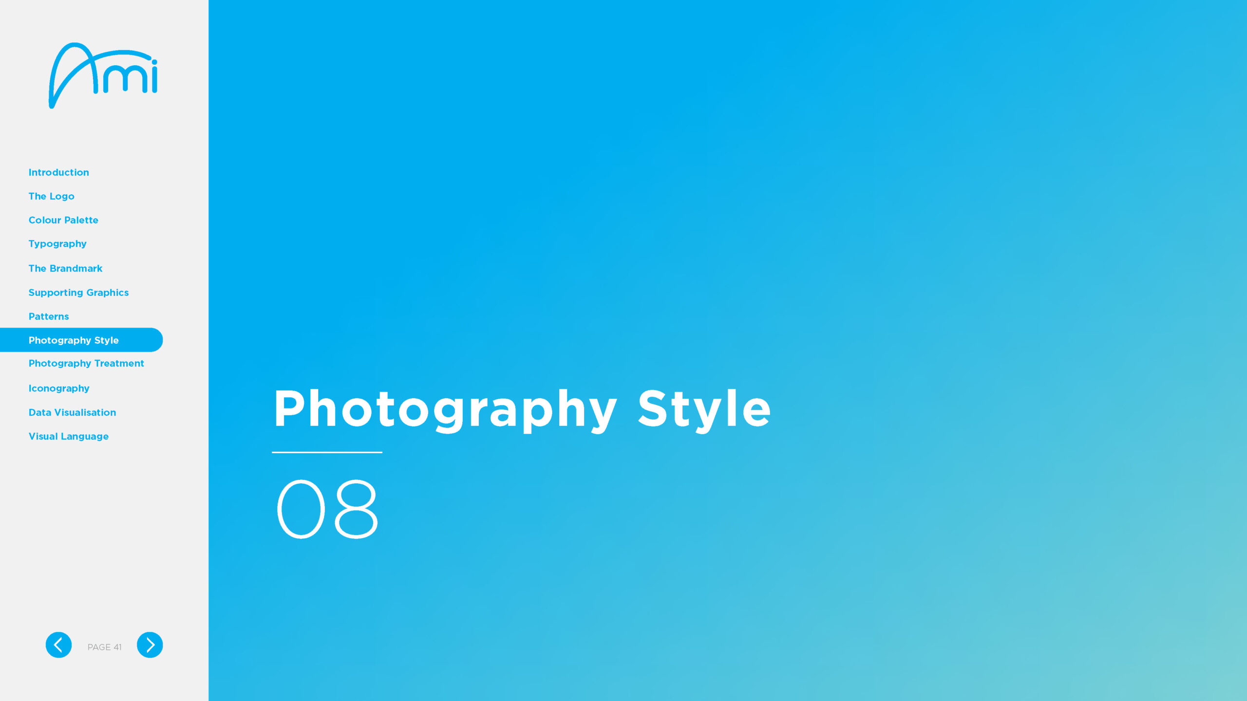 8056 AMI Brand Guideline_V06_Page_41